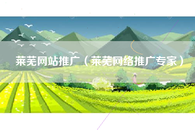莱芜网站推广（莱芜网络推广专家）