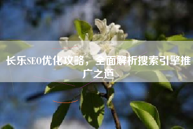 长乐SEO优化攻略，全面解析搜索引擎推广之道