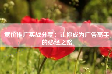 竞价推广实战分享：让你成为广告高手的必经之路