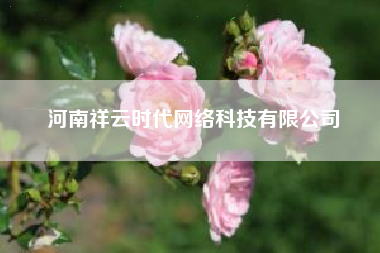 河南祥云时代网络科技有限公司