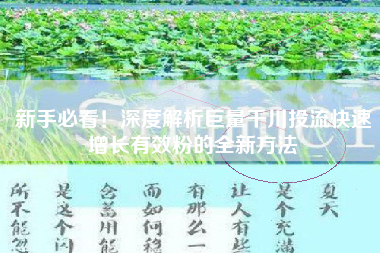 新手必看！深度解析巨量千川投流快速增长有效粉的全新方法