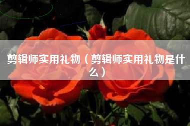 剪辑师实用礼物（剪辑师实用礼物是什么）