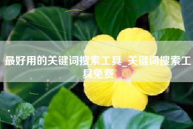 最好用的关键词搜索工具_关键词搜索工具免费