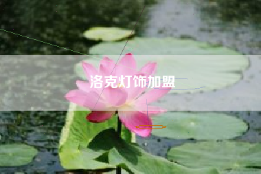 洛克灯饰加盟