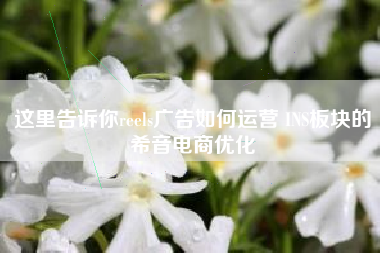 这里告诉你reels广告如何运营 INS板块的希音电商优化