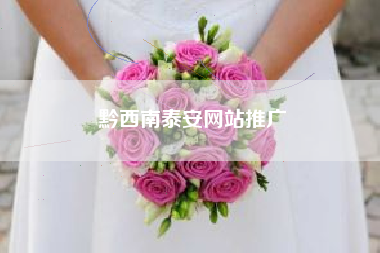 黔西南泰安网站推广