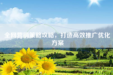 全网营销策略攻略，打造高效推广优化方案