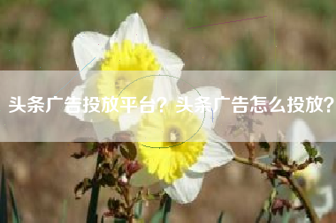 头条广告投放平台？头条广告怎么投放？