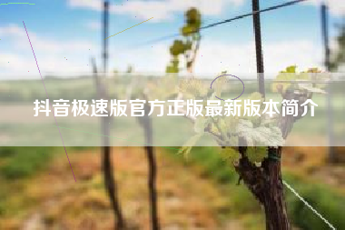 抖音极速版官方正版最新版本简介
