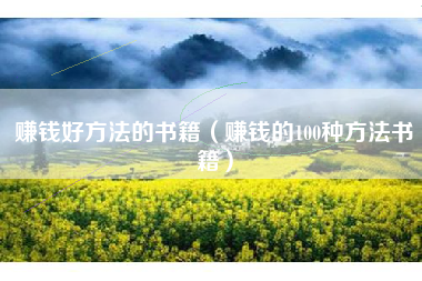 赚钱好方法的书籍（赚钱的100种方法书籍）