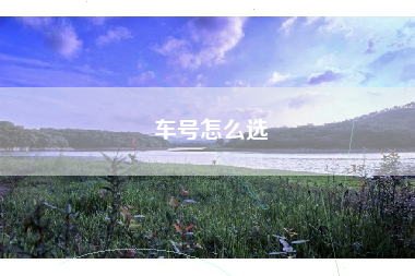 车号怎么选