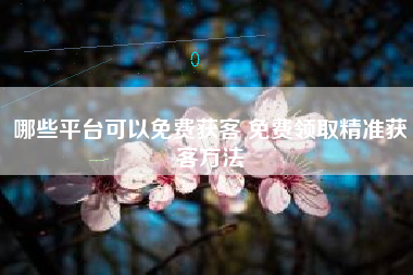 哪些平台可以免费获客 免费领取精准获客方法