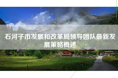 石河子市发展和改革局领导团队最新发展策略概述
