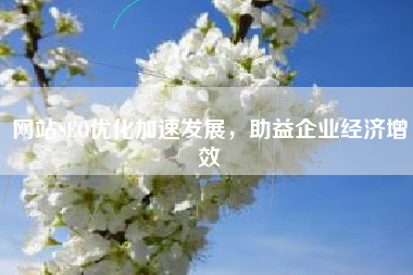 网站SEO优化加速发展，助益企业经济增效