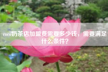 coco奶茶店加盟费需要多少钱，需要满足什么条件？