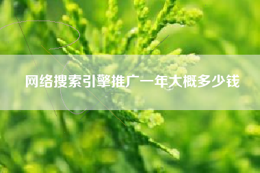 网络搜索引擎推广一年大概多少钱