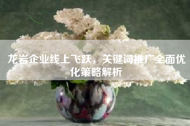 龙岩企业线上飞跃，关键词推广全面优化策略解析