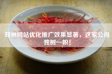 郑州网站优化推广效果显著，这家公司独树一帜！