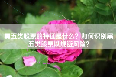 黑五类股票的特征是什么？如何识别黑五类股票以规避风险？