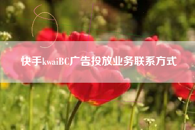 快手kwaiBC广告投放业务联系方式