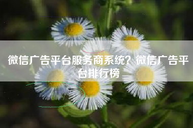 微信广告平台服务商系统？微信广告平台排行榜