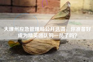 大理州应急管理局公开选调，你准备好成为精英团队的一员了吗？