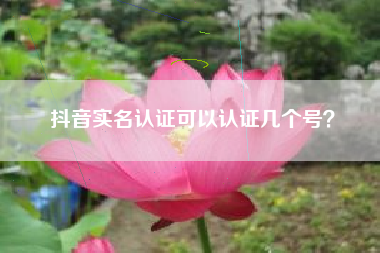 抖音实名认证可以认证几个号？