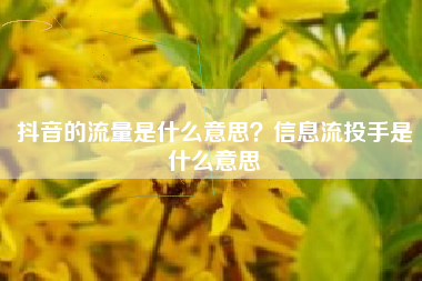 抖音的流量是什么意思？信息流投手是什么意思