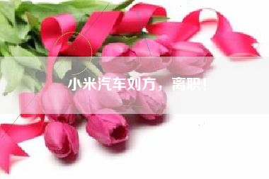 小米汽车刘方，离职！