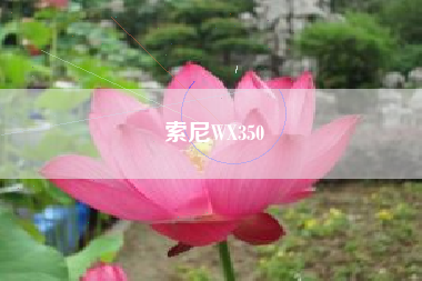 索尼WX350