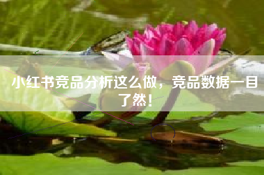 小红书竞品分析这么做，竞品数据一目了然！
