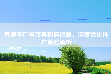 直通车广告效果翻倍秘籍，深度优化推广策略解析