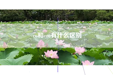 co和coo有什么区别