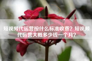 短视频代运营按什么标准收费？短视频代运营大概多少钱一个月？