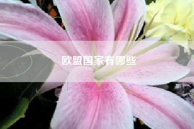 欧盟国家有哪些