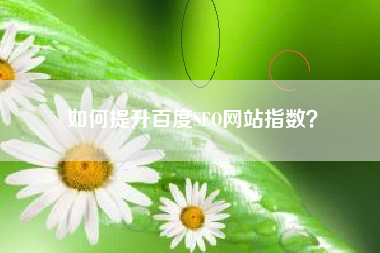如何提升百度SEO网站指数？