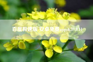 百度极速版 安卓免费appv6.39.0.11