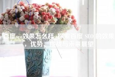 百度seo效果怎么样_探索百度 SEO 的效果，优势、挑战与未来展望