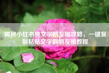 揭秘小红书纯文字朋友圈攻略，一键复制粘贴文字到朋友圈教程