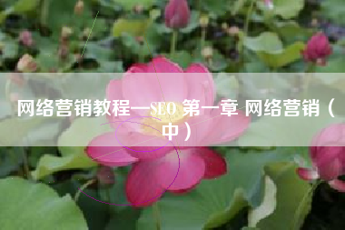 网络营销教程—SEO 第一章 网络营销（中）
