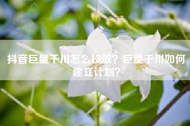 抖音巨量千川怎么投放？巨量千川如何建立计划？