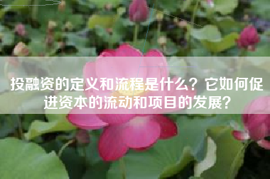 投融资的定义和流程是什么？它如何促进资本的流动和项目的发展？