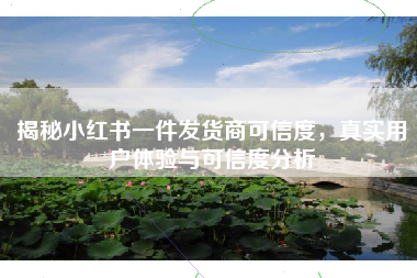 揭秘小红书一件发货商可信度，真实用户体验与可信度分析