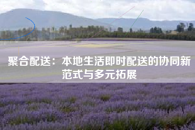 聚合配送：本地生活即时配送的协同新范式与多元拓展