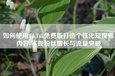 如何使用TikTok免费版打造个性化短视频内容-实现粉丝增长与流量突破