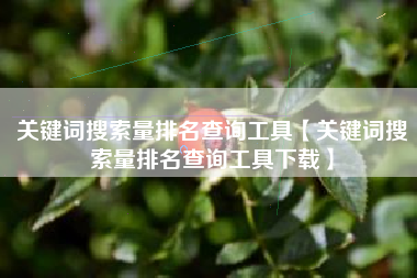 关键词搜索量排名查询工具【关键词搜索量排名查询工具下载】