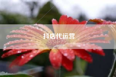 抖店代运营