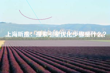 上海昕搜:搜索引擎优化步骤是什么? 上海昕搜:搜索引擎优化步骤是什么?