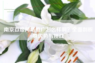 南京百度网络推广怎么样啊？全面剖析其优势与挑战