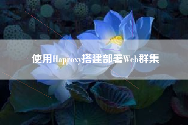 使用Haproxy搭建部署Web群集